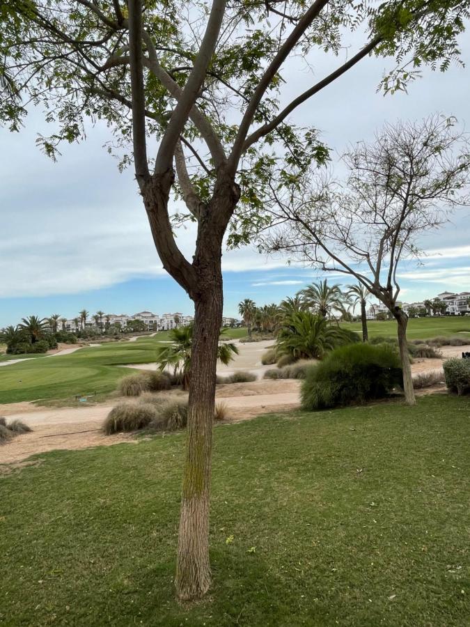 Apartamento De Lujo En Planta Baja Con Piscina En La Torre Golf Resort Roldan Exterior photo